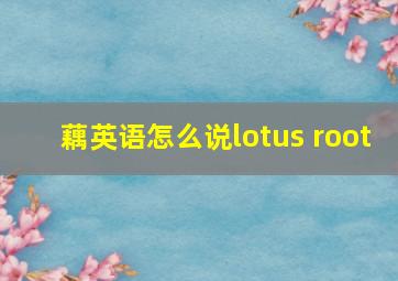 藕英语怎么说lotus root